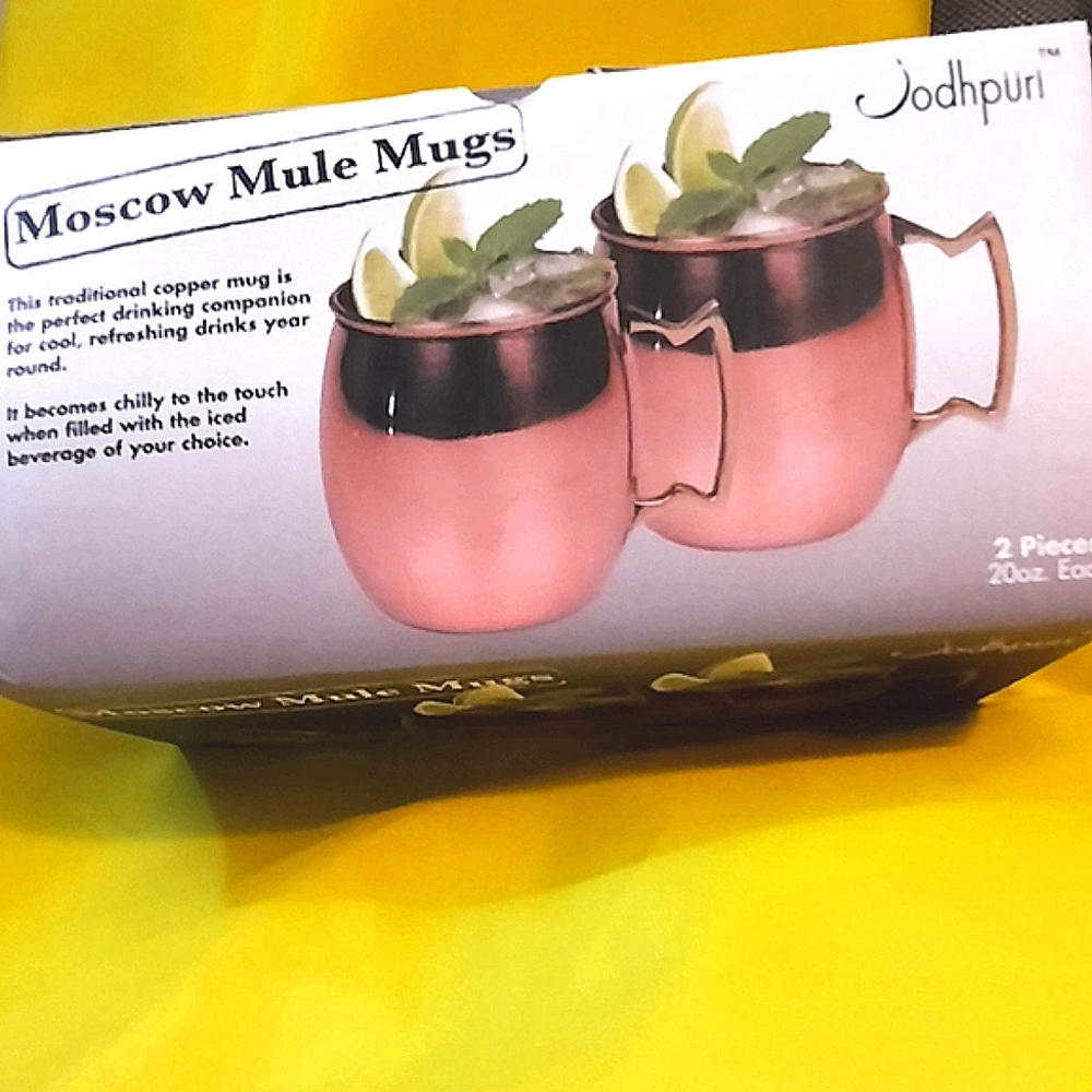 Jodhpuri Moscow Mule Mugs
